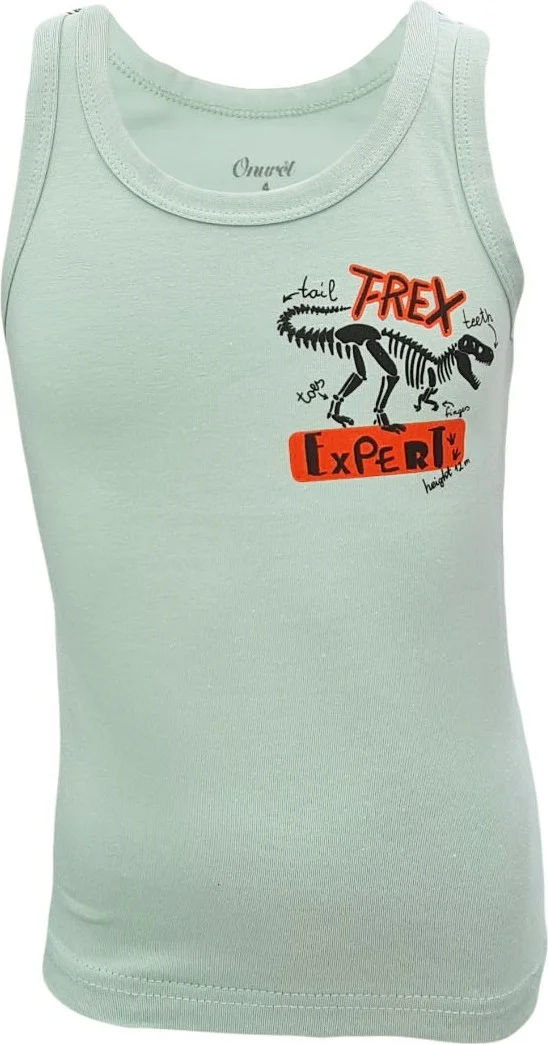 اونوريل Boys 5-Pack Mixed Color Dinosaur Printed Lycra Undershirt