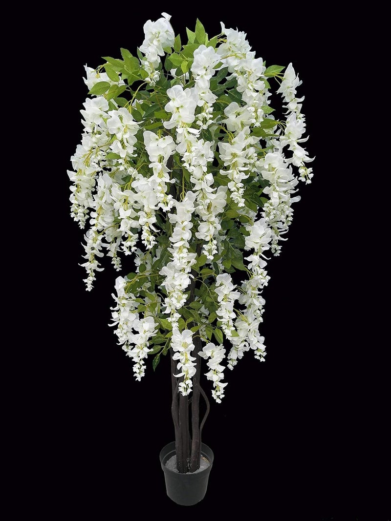 AMERIQUE White Gorgeous  Unique 5 Feet Blooming Artificial Silk Creamy Wisteria Tree with Twisted Trunks in Nursery Pot Feel Real Technology - Image 1