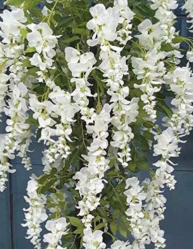 AMERIQUE White Gorgeous  Unique 5 Feet Blooming Artificial Silk Creamy Wisteria Tree with Twisted Trunks in Nursery Pot Feel Real Technology - Image 2