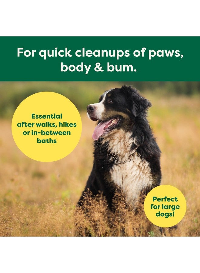 Earth Rated Earth Rated Pet Ear Wipes, Hypoallergenic Cleaner for Dogs & Cats Ears to Remove Dirt and Wax Build Up, Wild Oat Scent, 70 Count  - Image 4