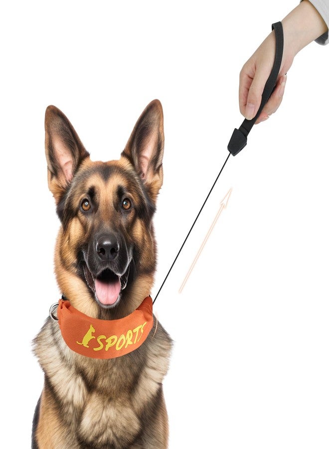 BillionChains 2 in 1 Dog Collar with Retractable Dogs Leash, Adjustable Dog Collar for Medium to Large Dogs - Image 1