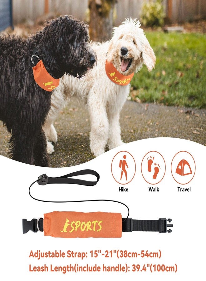 BillionChains 2 in 1 Dog Collar with Retractable Dogs Leash, Adjustable Dog Collar for Medium to Large Dogs - Image 5