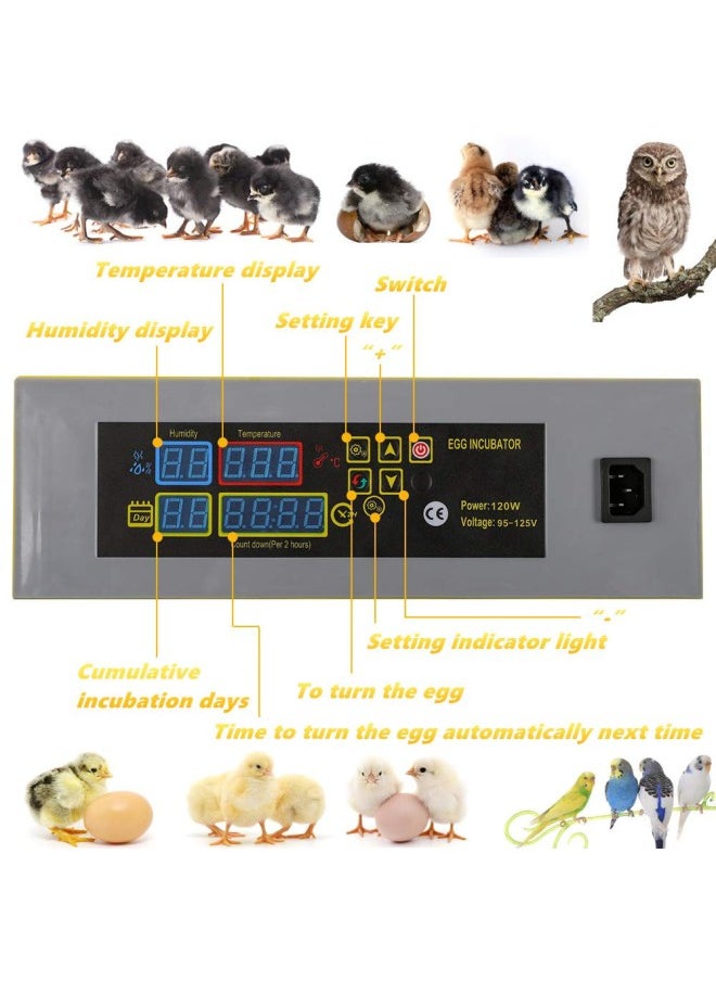 Egg Incubator(96 Eggs), Fully Automatic Digital Poultry Hatching Machine, Temperature Control & Humidity Control & Automatic Egg Turner,Clear Hatching for Chicken Eggs