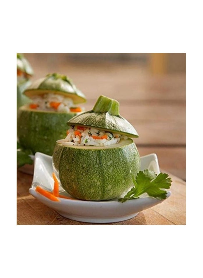Generic - "4-Piece Plastic Stuffed Vegetable Corer Set - Magic Corer for Zucchini, Eggplant, and Tomatoes, Perfect for Easily Preparing Stuffed Vegetables. Includes a Thin and Sturdy Corer for Vegetables like Zucchini and Eggplant. A Versatile Tool for Professionally and Easily Preparing Stuffed Dishes, Ideal for Everyday Cooking." - Image 1