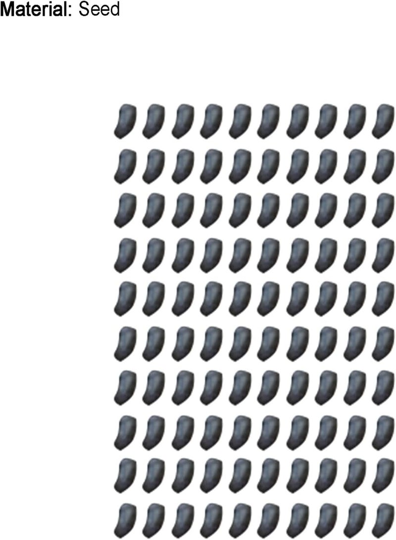 جي جوت 100 قطعة/حقيبة من بذور براسيكا أوليراسيا، عالية الإنتاجية، صديقة للبيئة، تستهلك كميات كبيرة من الماء، للحدائق - بذور براسيكا أوليراسيا - Image 5