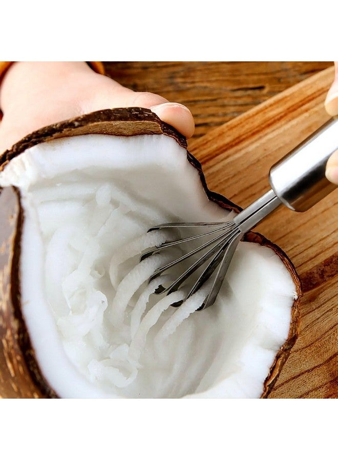 TASKHOUSE مقشرة جوز الهند من الفولاذ المقاوم للصدأ من TASKHOUSE، قاطع لحم، كاشط لإزالة قشور السمك، مبشرة متعددة الاستخدامات للفواكه والخضروات (عبوة من 1) - Image 2