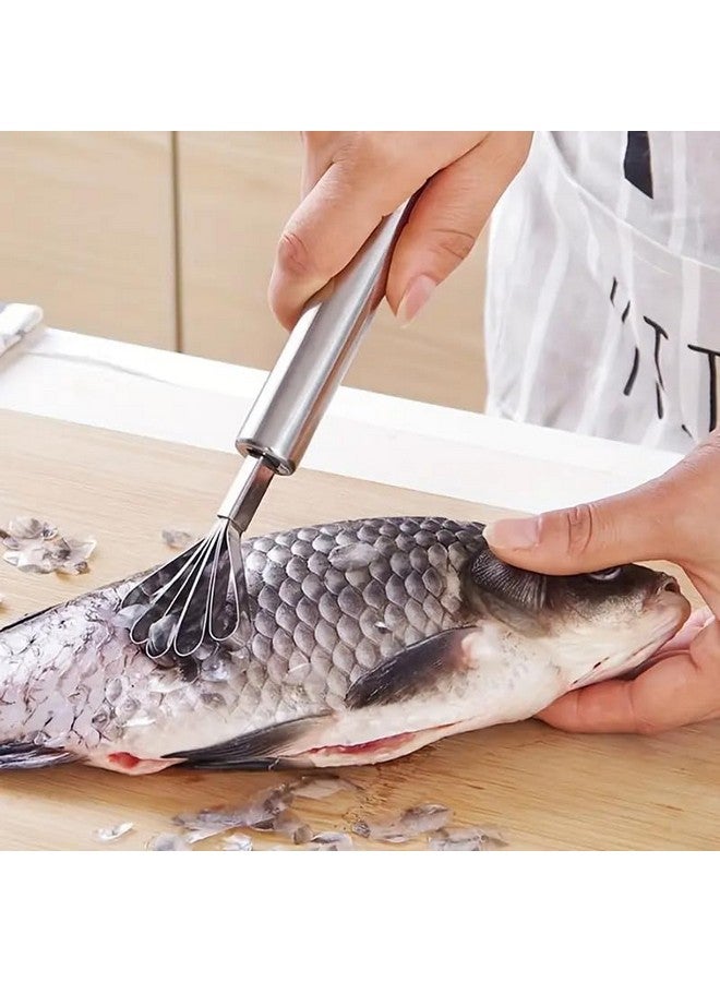 TASKHOUSE مقشرة جوز الهند من الفولاذ المقاوم للصدأ من TASKHOUSE، قاطع لحم، كاشط لإزالة قشور السمك، مبشرة متعددة الاستخدامات للفواكه والخضروات (عبوة من 1) - Image 4