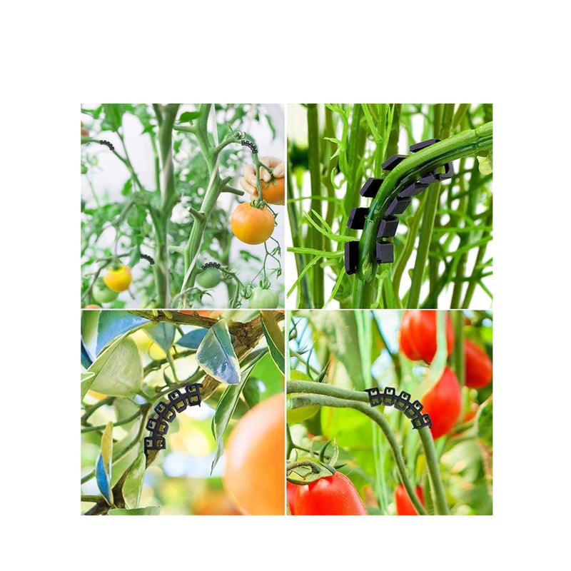Zikra 150 Pieces 90 Degree Plant Clips Branches Clips Control The Growth of Plants Branches Clamps for Low Stress Planting Clip - Image 4