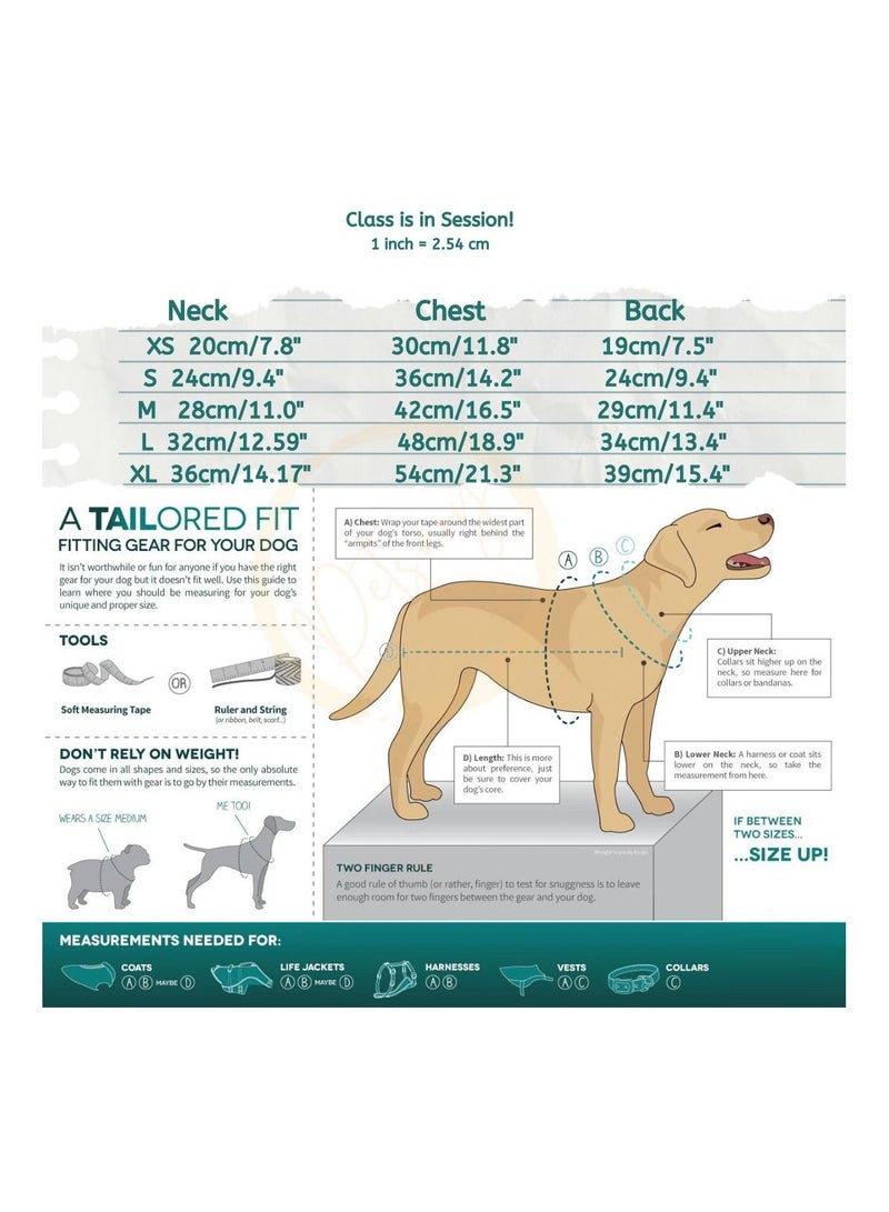 Petsary Dog Shirts Cat Shirts Dog Clothes "I love my Daddy" Clothes Dog Costume Cute Heart sequins design for Small and Medium Dogs and Cats Black - Image 5