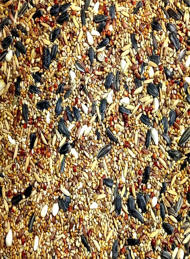 One Top Mixed Multi Seeds Nuts Natural Birds Foods 1KG for Cockatiel, Love Birds, Silver Finches, Munia, Parakeets, Parrots, Budgies, Dove Grain and Seeds and All Eating Birds - Image 2