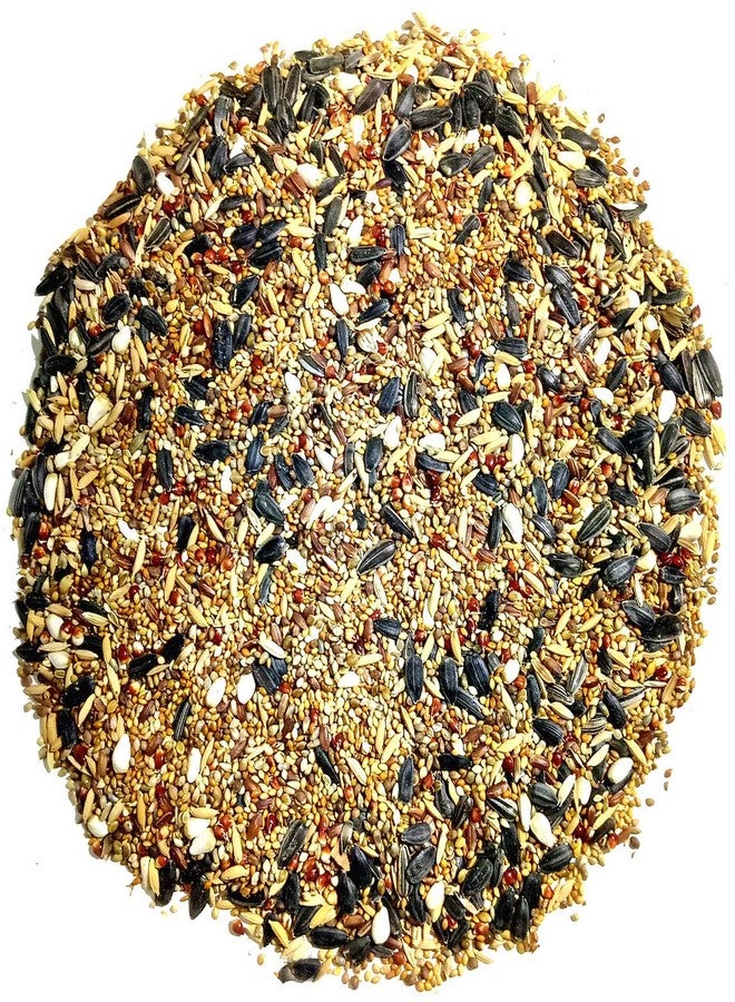 One Top Mixed Multi Seeds Nuts Natural Birds Foods 1KG for Cockatiel, Love Birds, Silver Finches, Munia, Parakeets, Parrots, Budgies, Dove Grain and Seeds and All Eating Birds - Image 1