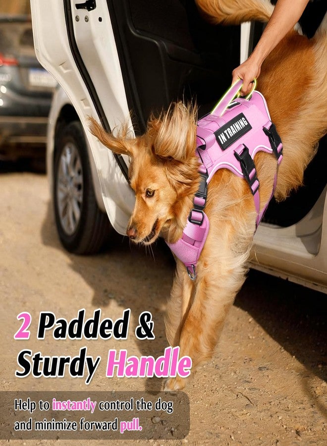 WINSEE Escape Proof Dog Harness with Double Handle+4 Removable Patches - Image 3