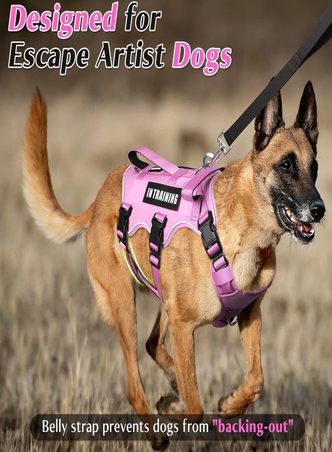 WINSEE Escape Proof Dog Harness with Double Handle+4 Removable Patches - Image 2