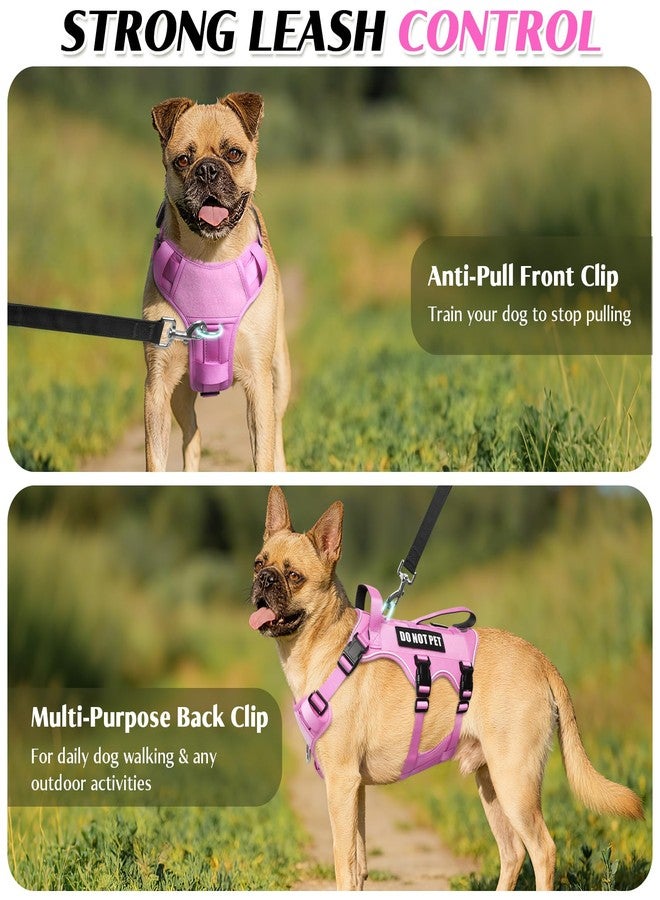 WINSEE Escape Proof Dog Harness with Double Handle+4 Removable Patches - Image 4