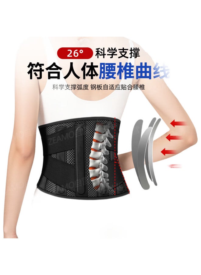 ZEAMO Medical Back Support Belt For Lumbar Disc Herniation, Lumbar Muscle Strain, Steel Plate Lumbar Support, Breathable Sports Post-Surgery Waist Brace, Size M - Image 3