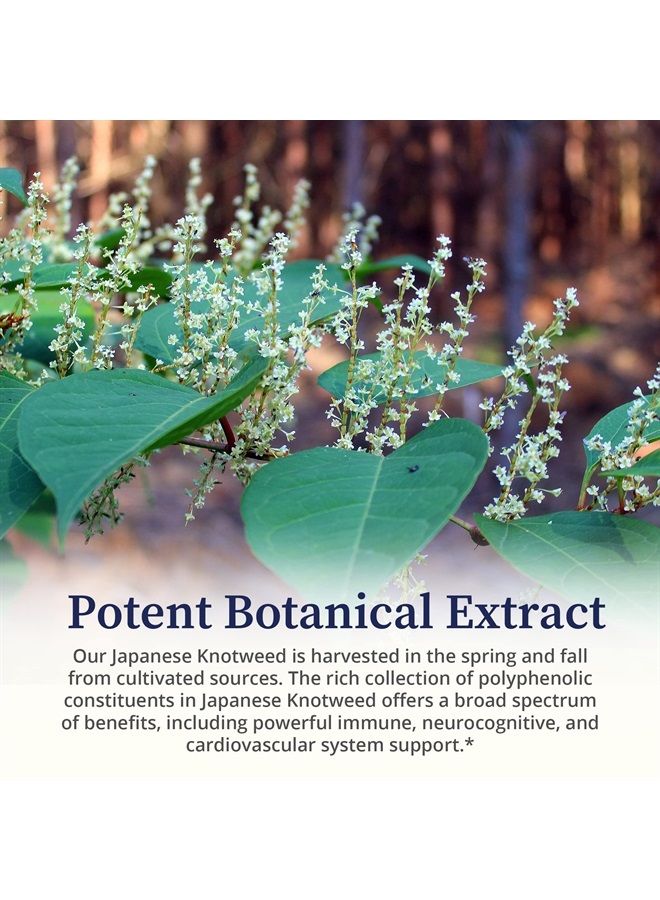 BioPure Japanese Knotweed Herbal Tincture – Potent Botanical Extract Rich in Polyphenols Including Resveratrol to Support Liver & Immune Function, Cellular Health, and Microbiome Balance – 2 fl oz - Image 5