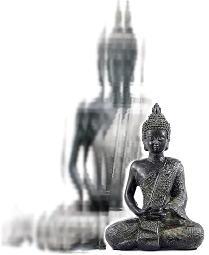 Bellaa Black Buddha Statue Enlightenment Meditation Dhyana Mudra Sitting Blessing Goodluck Happy Collectibles Figurines Sculpture Living Room Outdoor Garden Patio - Image 1