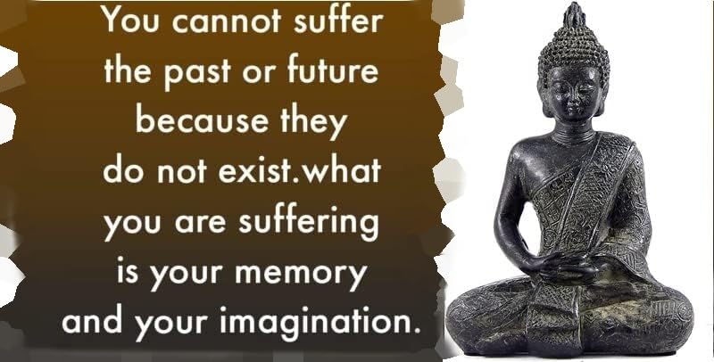 Bellaa Black Buddha Statue Enlightenment Meditation Dhyana Mudra Sitting Blessing Goodluck Happy Collectibles Figurines Sculpture Living Room Outdoor Garden Patio - Image 4