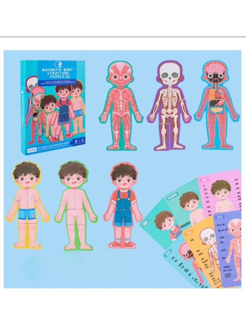 Wooden Human Body Parts Structure Jigsaw Puzzle Set for Kids Toys Parts of Body Organs Muscles Safety Education Puzzle Cards 6+ Years (Boy) - Image 1