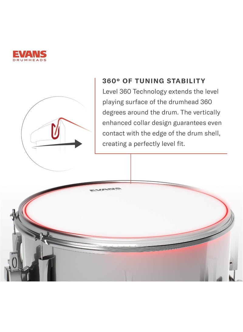EVANS Evans Drum Heads - G1 Coated tom Drumhead, 12 Inch - Image 3