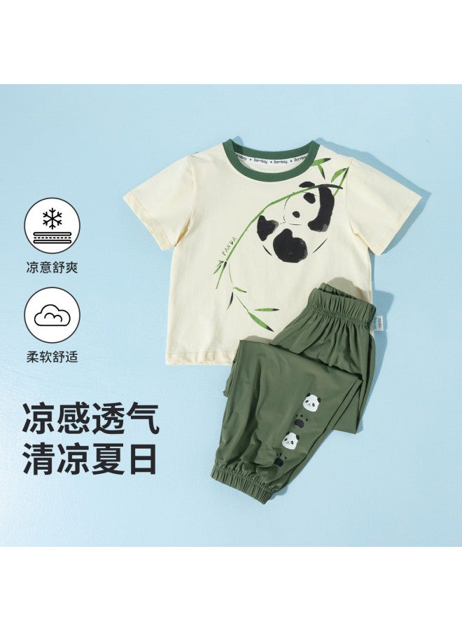 Bornbay 2025 Summer New Boys' Icy Short-sleeve T-shirt & Mosquito-repellent Pants Outfit - Image 4