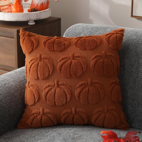 DFXSZ Fall Pillow Covers 18x18 Set of 2 Fall Decorations Autumn Rust Pumpkin Throw Pillow Cases Soft Plush Faux Fur Wool Couch Cushion Case for Chair Sofa Bedroom Living Room Home Decor PTK012A18 - Image 3