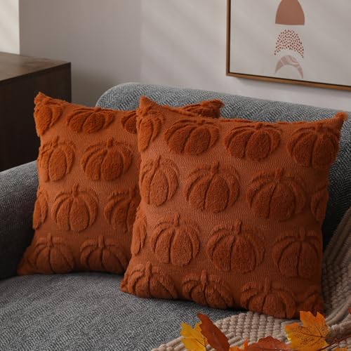 DFXSZ Fall Pillow Covers 18x18 Set of 2 Fall Decorations Autumn Rust Pumpkin Throw Pillow Cases Soft Plush Faux Fur Wool Couch Cushion Case for Chair Sofa Bedroom Living Room Home Decor PTK012A18 - Image 1