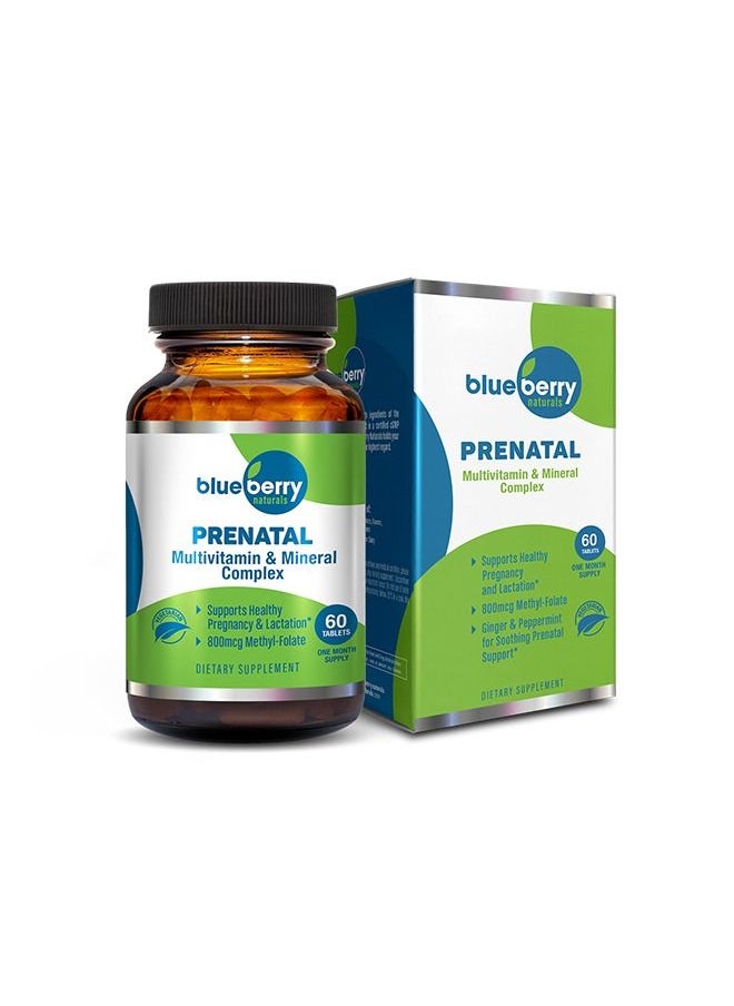 blueberry NATURALS أقراص ما قبل الولادة 60  - Image 1