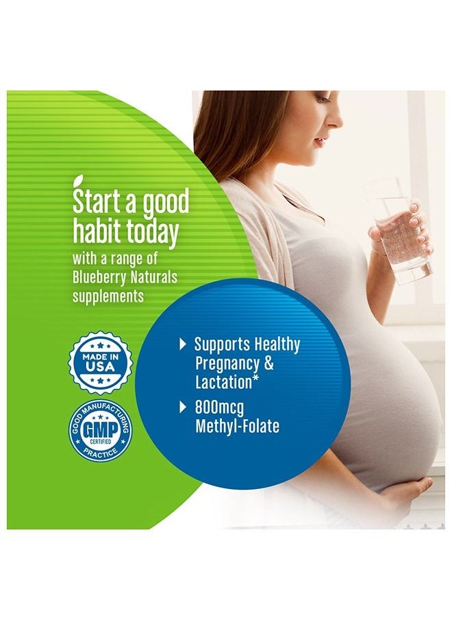 blueberry NATURALS أقراص ما قبل الولادة 60  - Image 5