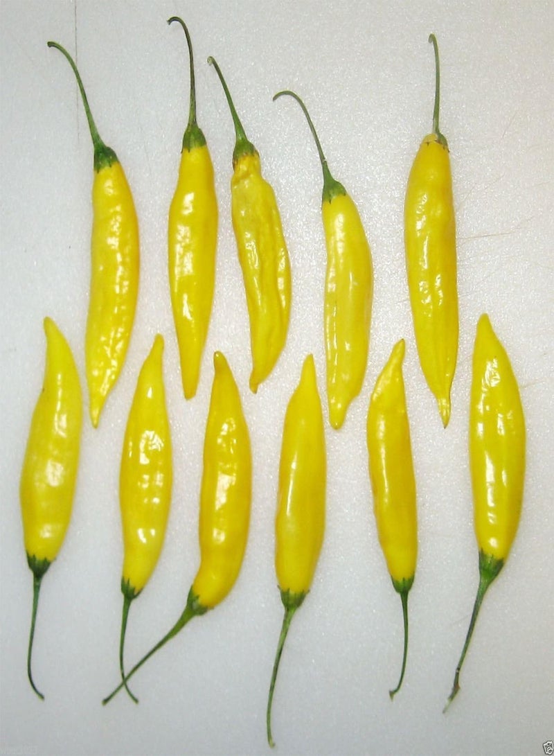 GGOOT Aji Lemon Drop seed Seeds, Distinctive Citrus Flavor, Bright Yellow Color - Image 1