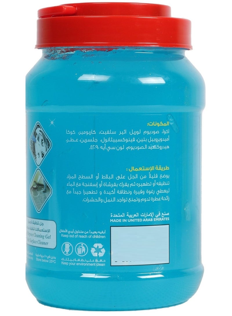 Home Mate Ocean Breeze All Purpose Cleaning Gel 1 Kg - Image 3