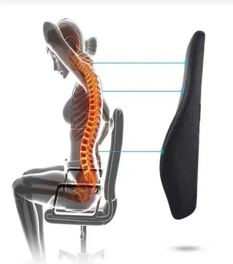 ORPEDOX 100% Visco Anatomical Lumbar Pillow Back Cushion Office Chair Gaming Seat Cushion