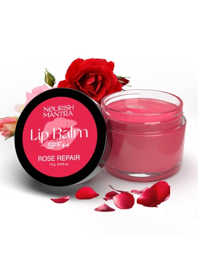 Nourish Mantra Rose Repair Lip Balm with SPF/Made with Rose Extracts, Olive oil, Shea Butter, Vitamin E and Avocado Oil/For Dry, Chapped and Dark Lips/ 12gms - Image 1