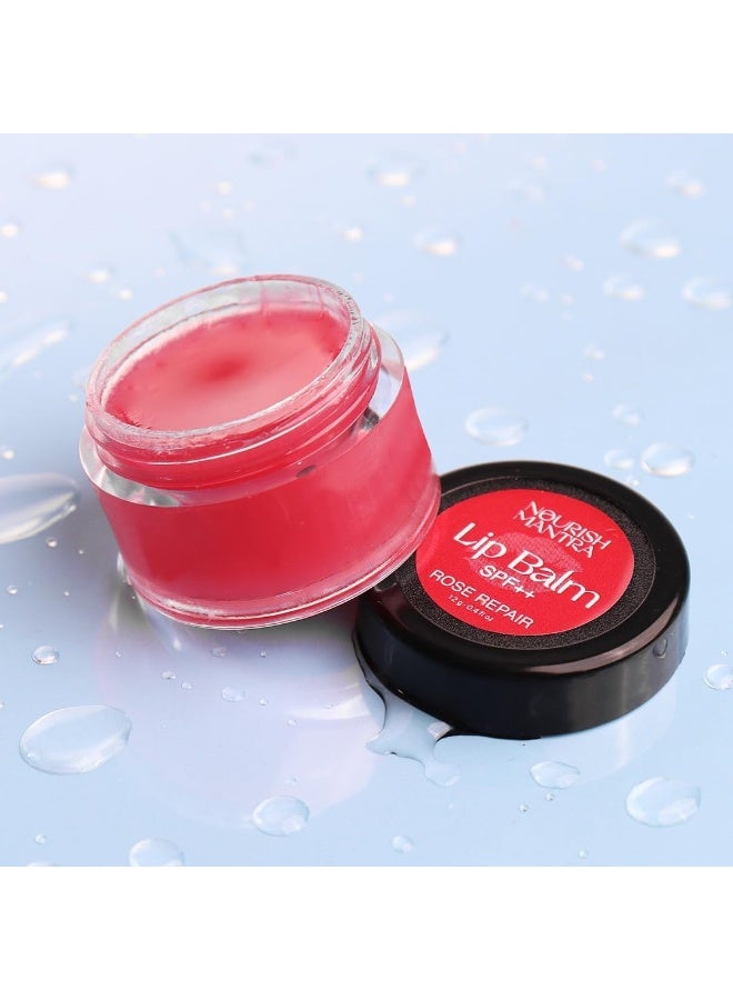 Nourish Mantra Rose Repair Lip Balm with SPF/Made with Rose Extracts, Olive oil, Shea Butter, Vitamin E and Avocado Oil/For Dry, Chapped and Dark Lips/ 12gms - Image 3