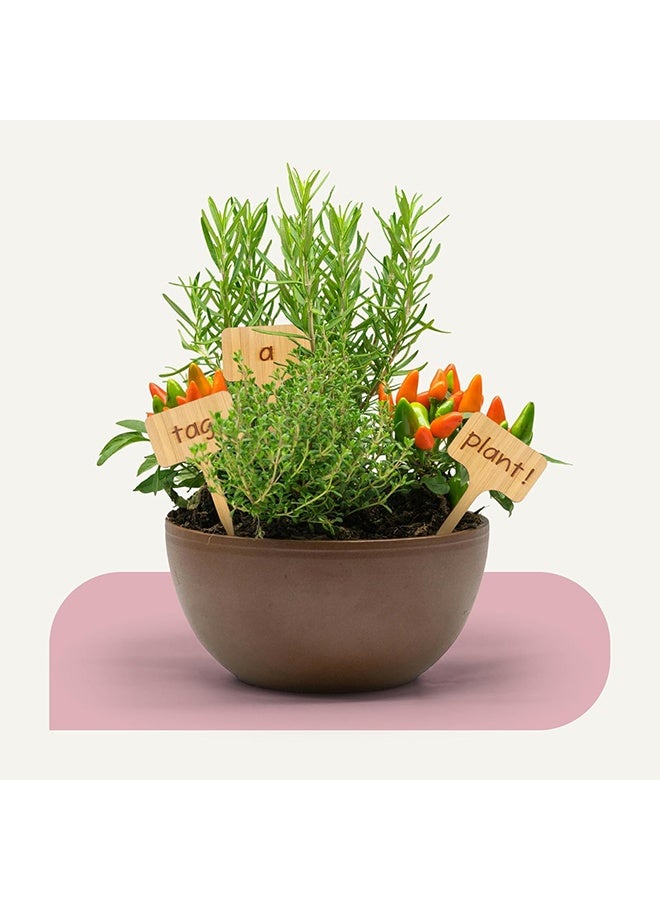 Bamboo Plant Labels, Eco-Friendly Garden Tags | Short T-Type Wooden Garden Markers | 100% Natural, Biodegradable | for Labeling Herbs, Seedlings, Vegetables, Cheeses, Appetizers, Desserts - Image 4