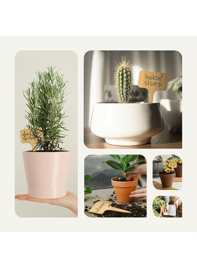 Bamboo Plant Labels, Eco-Friendly Garden Tags | Short T-Type Wooden Garden Markers | 100% Natural, Biodegradable | for Labeling Herbs, Seedlings, Vegetables, Cheeses, Appetizers, Desserts - Image 3