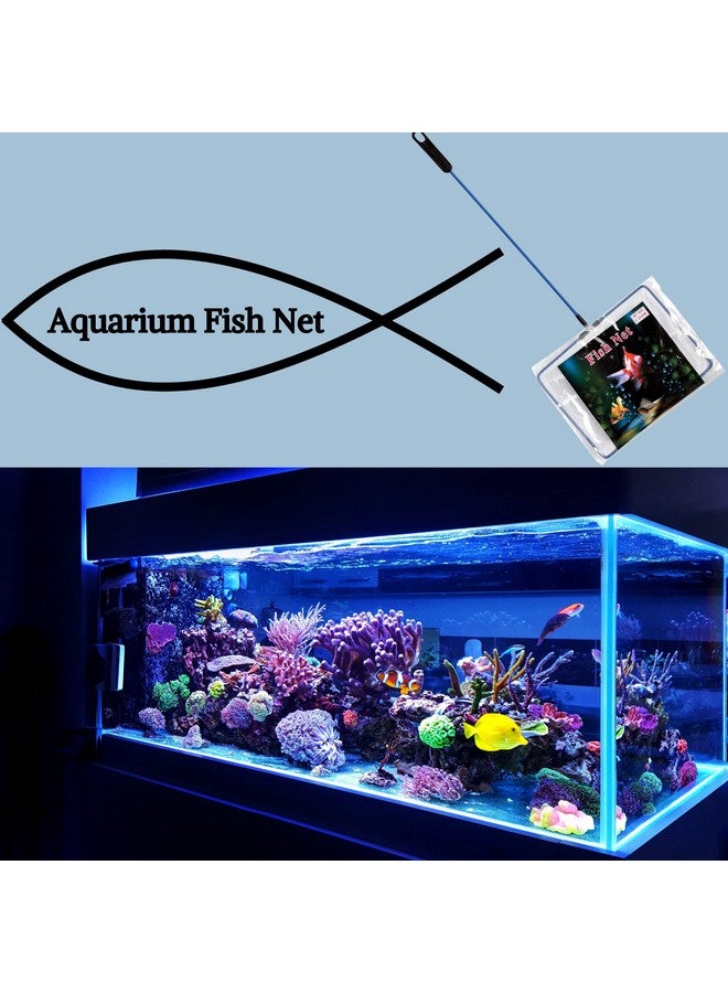 Fish Net Cleaner For Aquarium/Fish Tank - (8Inch Fish Net) | Nylon Net Safe For All Aquarium Fish, White Net With Blue Handle Quick Catch Mesh Aquarium Fish Net - Image 2