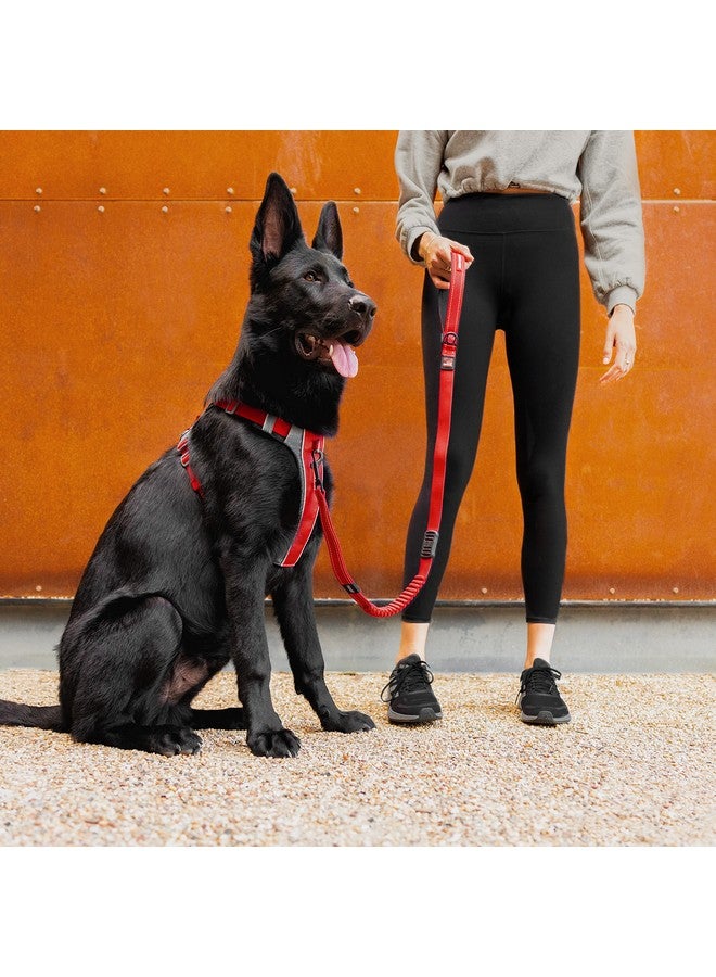 إيزي دوج حزام الكلب EzyDog X-Link - حزام عاكس ومبطن لا يسحب الكلب للتدريب والمشي اليومي مع نقطتي ربط للمقود (مقاس كبير جدًا، وردي) - Image 5