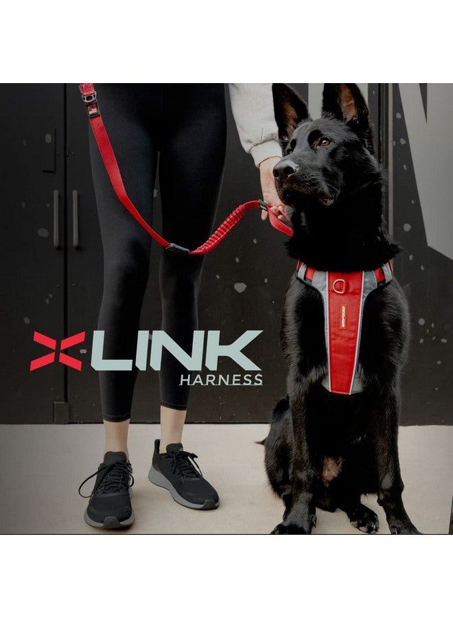 إيزي دوج حزام الكلب EzyDog X-Link - حزام عاكس ومبطن لا يسحب الكلب للتدريب والمشي اليومي مع نقطتي ربط للمقود (مقاس كبير جدًا، وردي) - Image 2