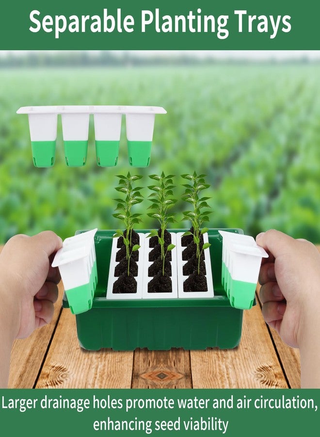 Sondiko Seed Starter Tray with Soft Silicone Cells, 80 Cells Seedling Trays Seed Startering Kit, 4 Pack Plant Starter Trays with Humidity Dome, Base Mini Greenhouse Germination Kit - Image 3