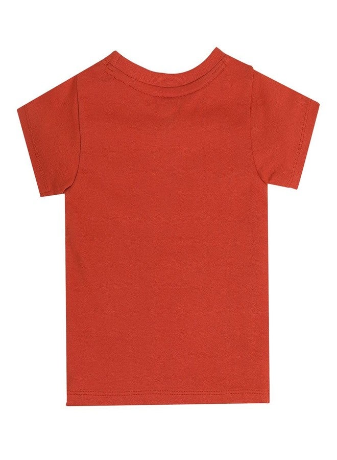 miniklub Baby Boys Round Neck Short Sleeve Rust Orange Color Knit T-Shirt (0-3M) - Image 2