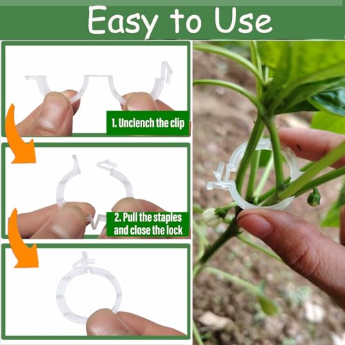 7Queen 150pcs Plant Support Clips Tomato Clips for String Trellis Grape Vine Clips for Garden Netting Climbing Plants Secured Plastic Plant Clip for Fixing Stem and Vine - Image 3