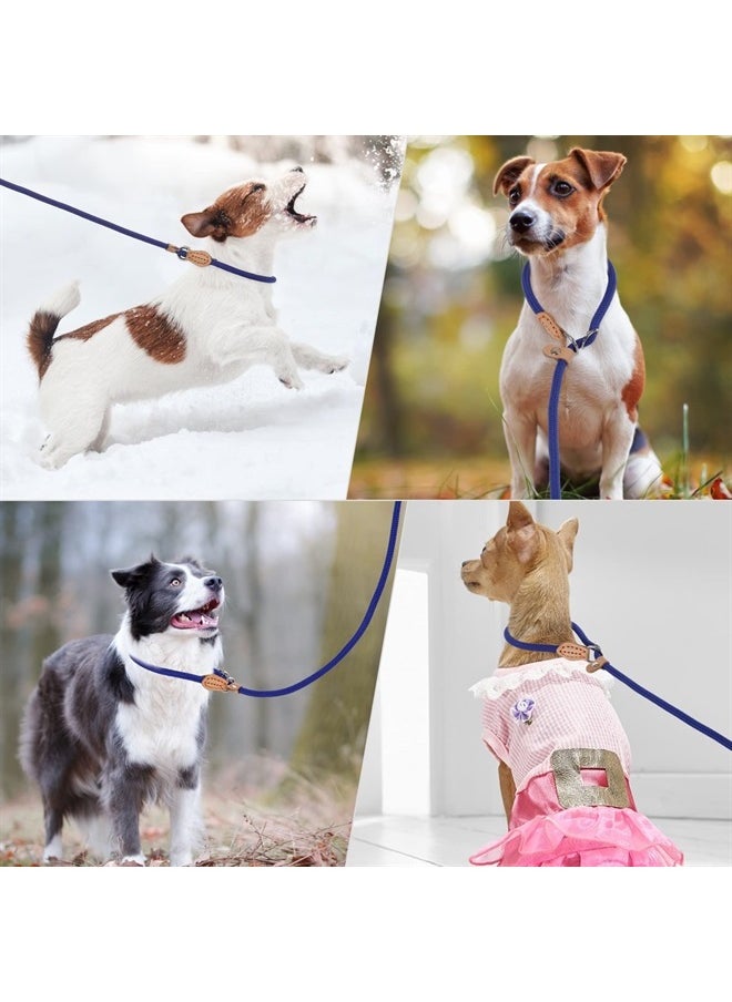 COBEE - Small Dog Rope Leash - Slip Lead Control, 5 FT x 1/3" No Pull Dog Loop Leash with Durable Leather Connector and Adjustable Metal Buckle P-Shaped Puppy Traction Rope for Small/Medium Dogs(Blue) - Image 1