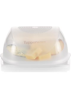 Tupperware Medium Cheese World  - Image 1