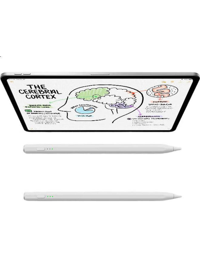Smorss Capacitive Stylus Pen For Ipad Apple Pencil 2Nd Generation, Compatible With Ipad Pro/Air/Mini, Tablet Stylus Pen With Palm Rejection And Fast Charging - Image 1