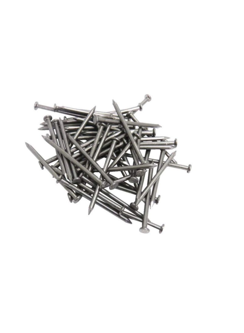 High Strength Round Head Nails For Carpentry Hardware Electrical Etc (100, 4 inch) - Image 1