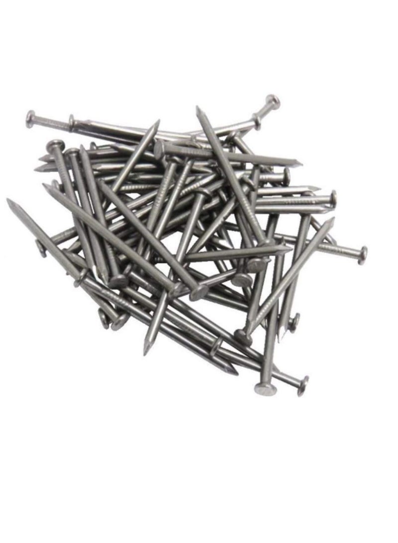High Strength Round Head Nails For Carpentry Hardware Electrical Etc (100, 4 inch) - Image 2