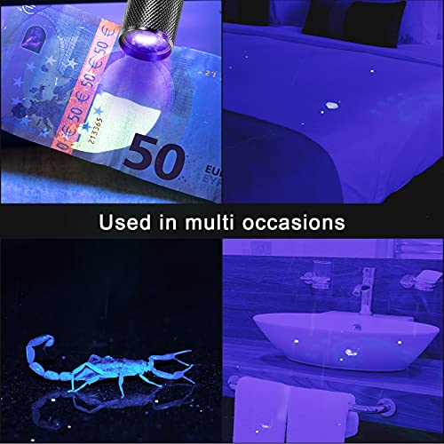 Roceei 10 Pieces UV Blacklight Flashlights, LED Light, Handheld, Mini Light Torch Detector, Portable UV Flashlight Torch for Pets Stains Urine (Purple Light) - Image 5