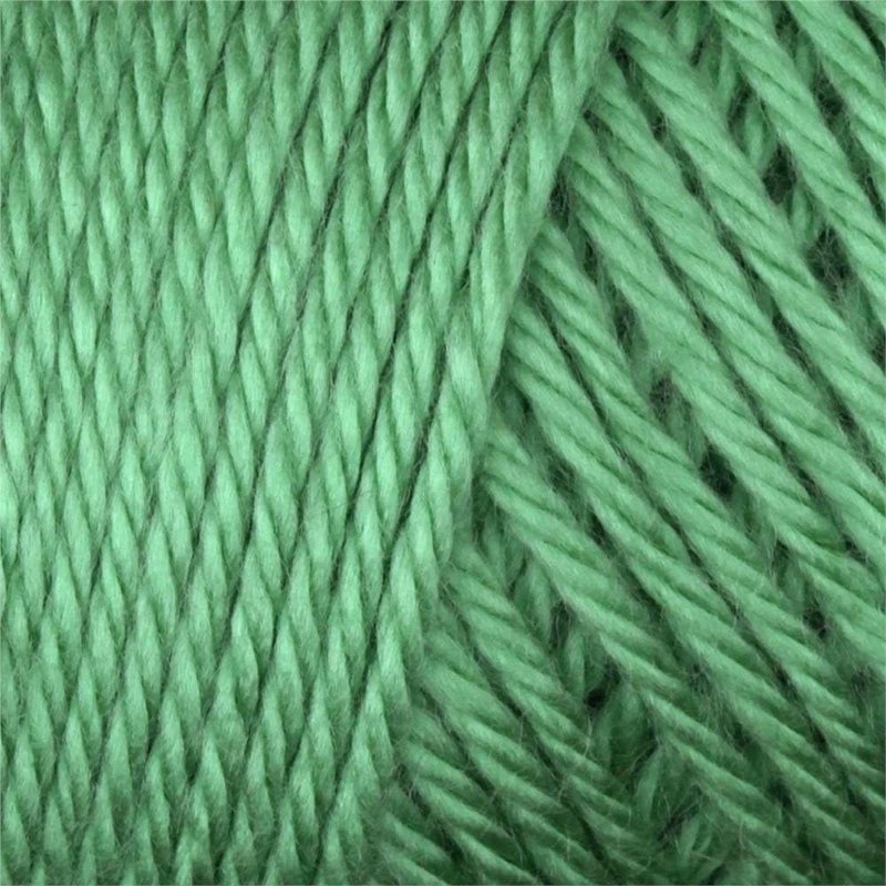 Caron Simply Soft Yarn Solids - 3-Pack Sage H97003-9705 - Image 2