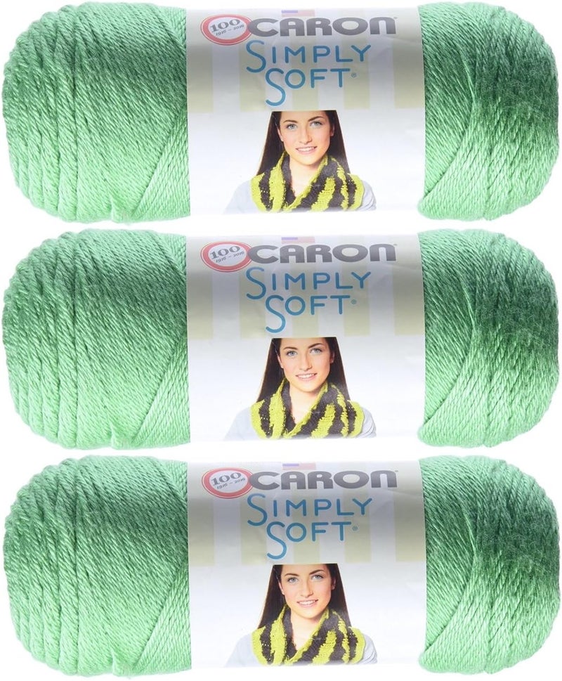 Caron Simply Soft Yarn Solids - 3-Pack Sage H97003-9705 - Image 1